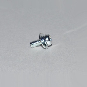 Винт со стопорной шайбой